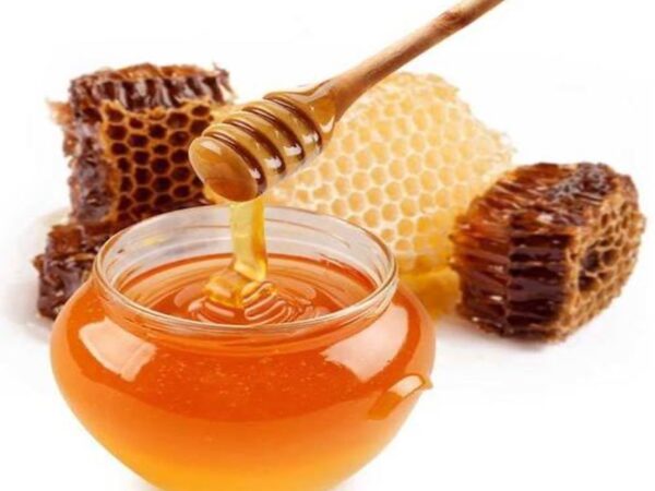 Organic Honey Production (OHP) Program